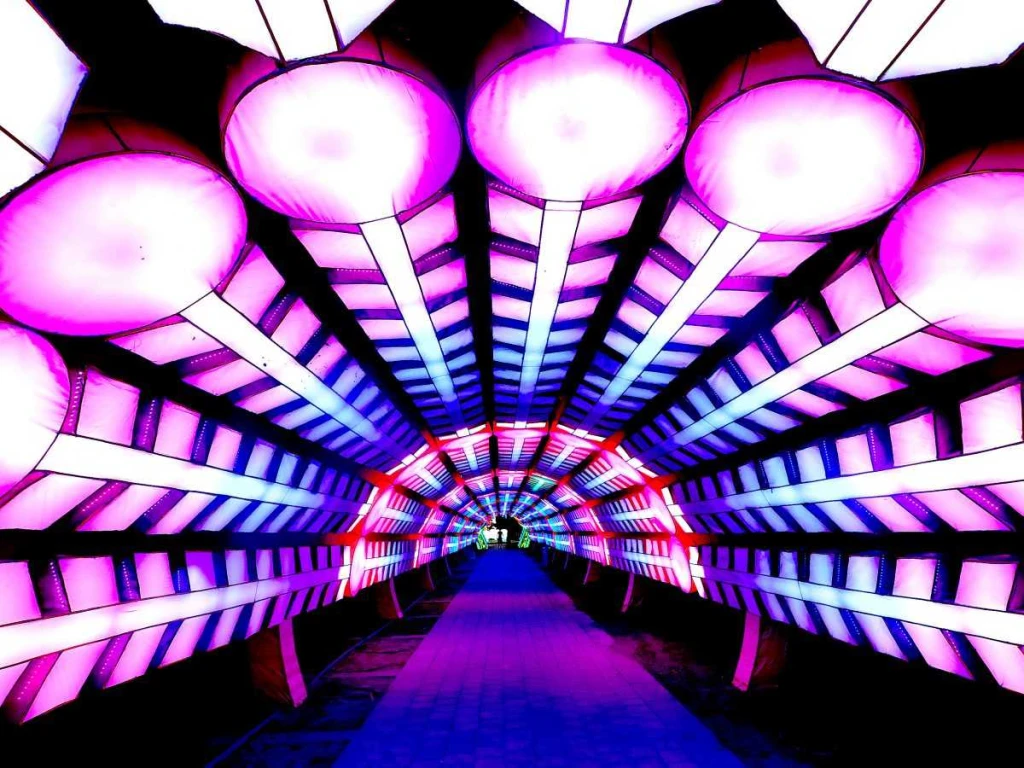 Dubai Bahçesi Işıldar