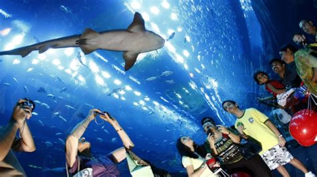 Dubai Aquarium & Onderwater Zoo – Explorer
