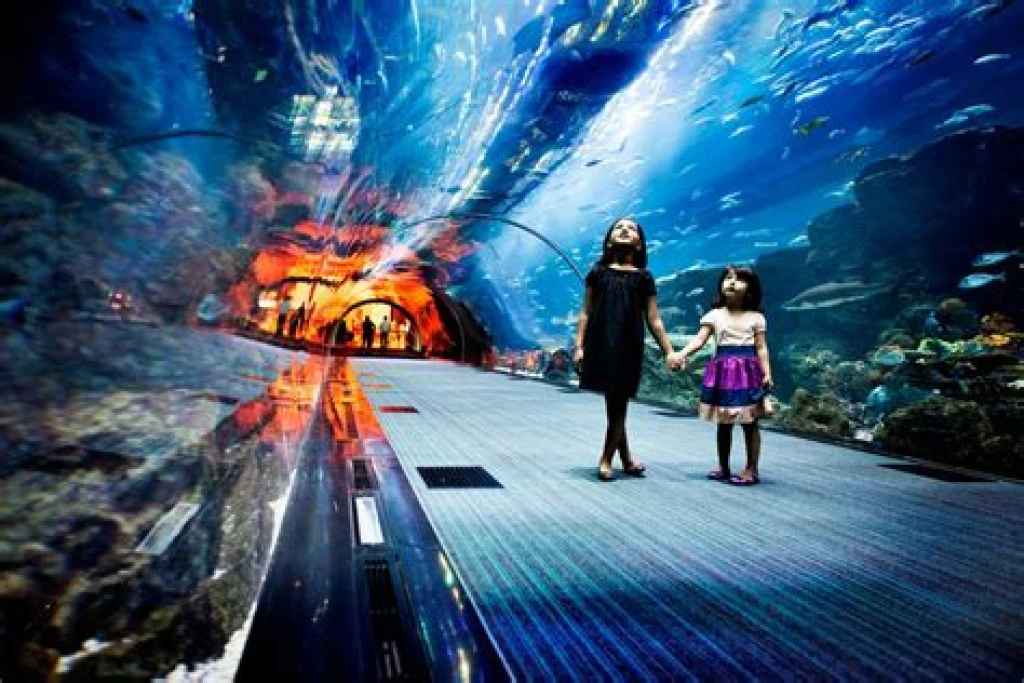 Dubai Aquarium & Onderwater Zoo – Explorer