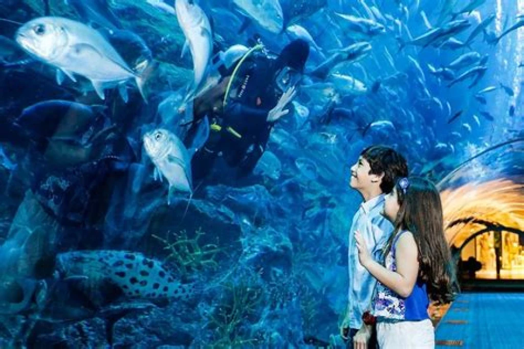 Dubai Aquarium & Onderwater Zoo – Explorer