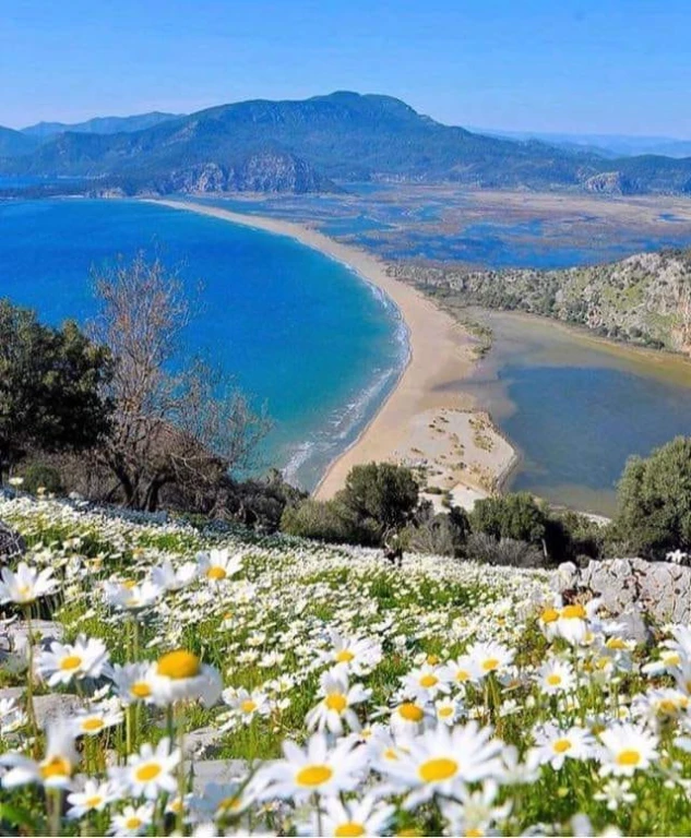 Dalyan Caretta İztuzu ve Çamur Banyoları Turu