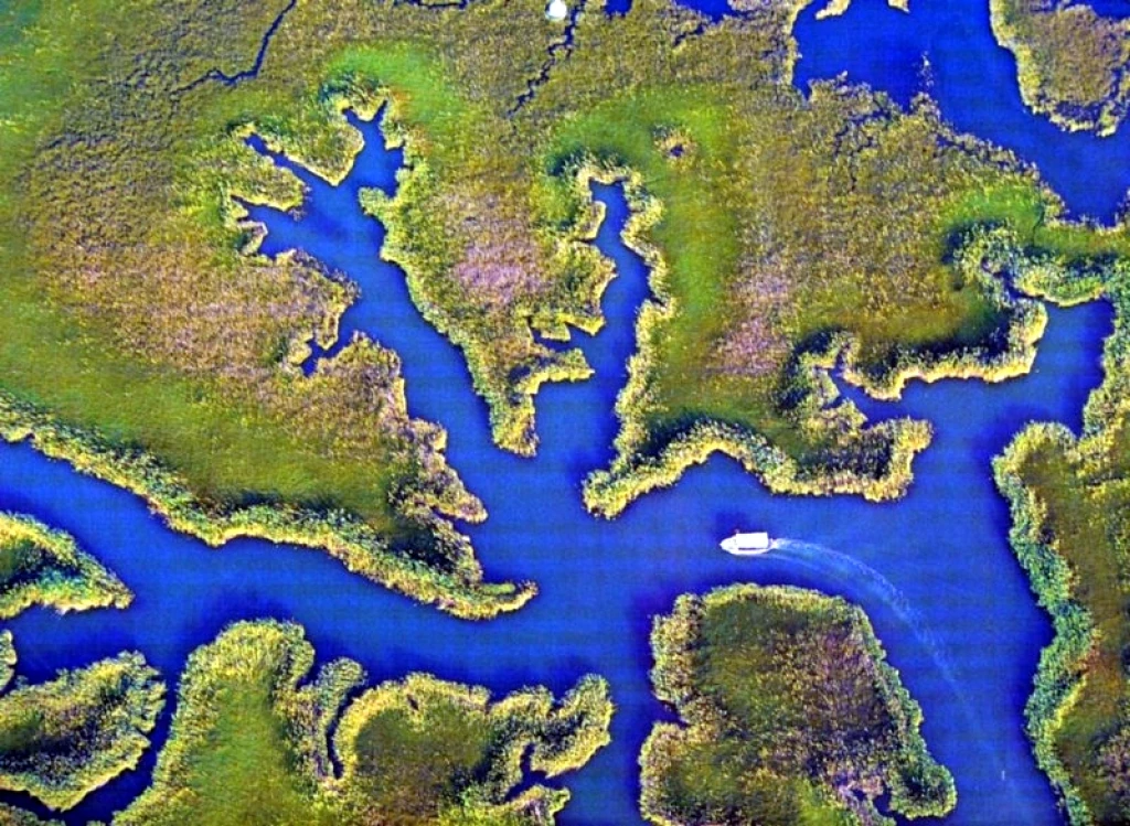 Dalyan Caretta İztuzu ve Çamur Banyoları Turu