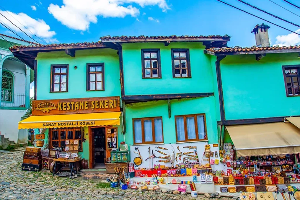 Günübirlik Cumalıkızık Uludağ Turu / İstanbul Çıkışlı
