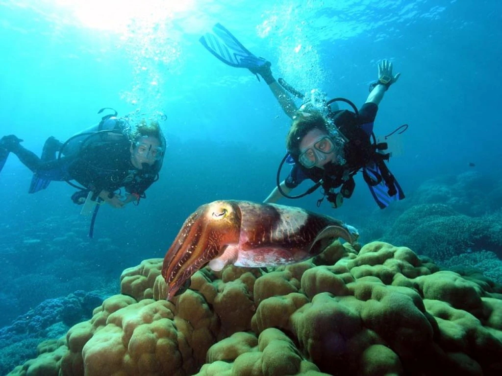 Kaş Yarım Gün Scuba Diving Tur