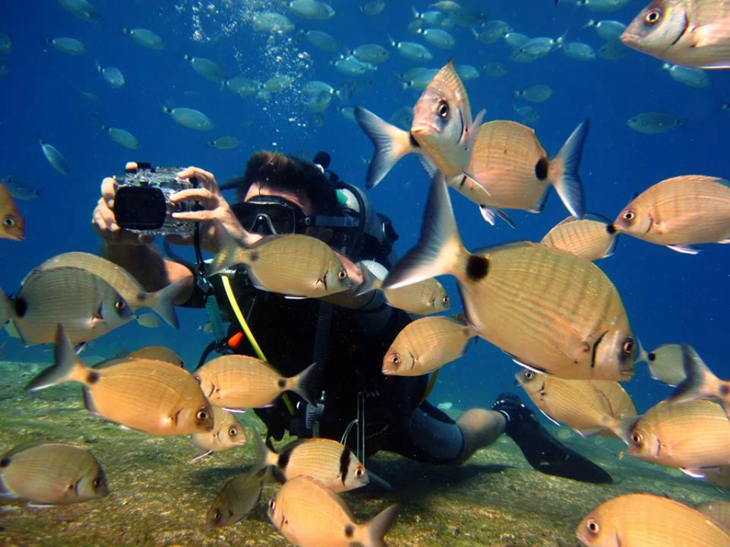 Kaş Yarım Gün Scuba Diving Tur