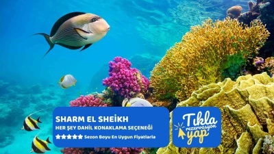 Kahire Sharm El Sheikh Turu Ajet Havayolları ile 4 Gece Kahire Şehir Gezisi Dahil