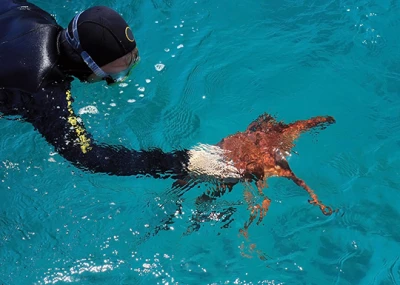 Scuba Diving in Fethiye