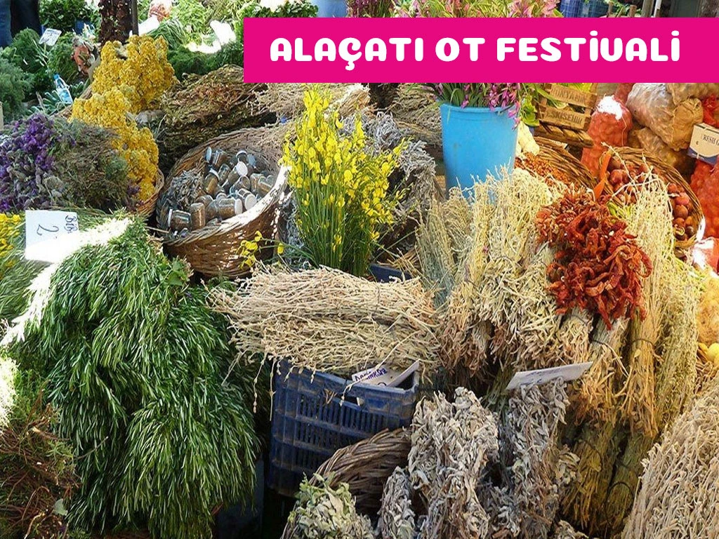 Alaçatı Ot Festivali Turu / 1 Gece Otel Konaklamalı / Kocaeli Çıkışlı