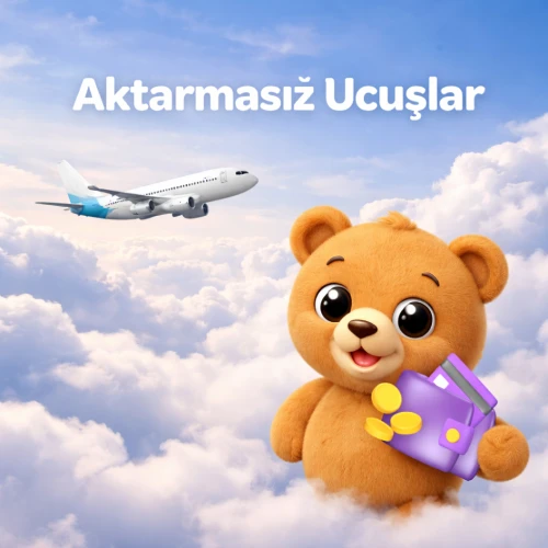 Aktarmasız Uçuş Seçenekleri