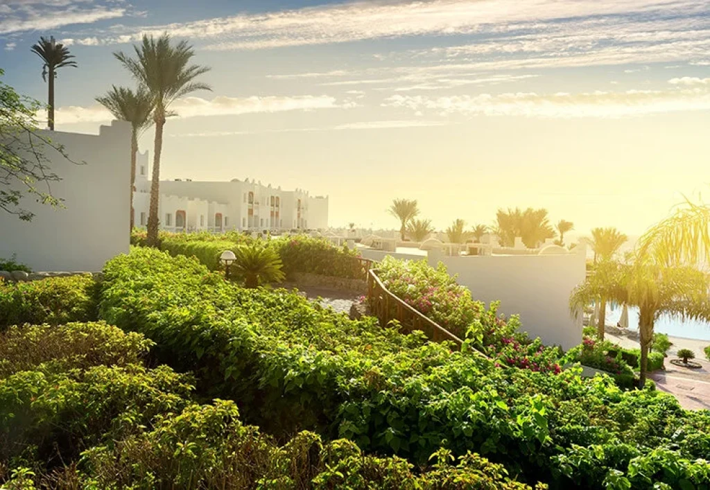 SHARM EL SHEIK DALIŞ TURU
