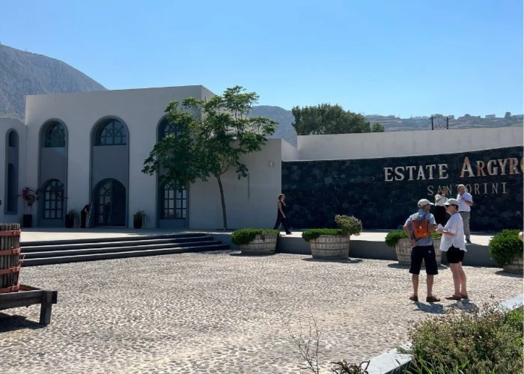 Wine Tasting Cruise: Explore Greece’s Best Vineyards & Islands