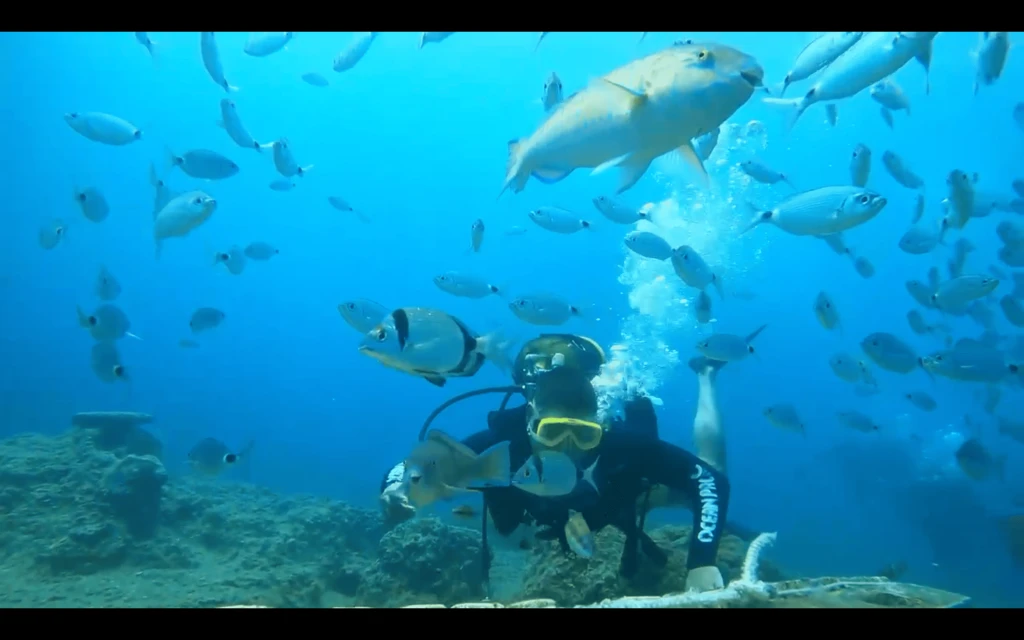Tour de Buceo en Museo Submarino