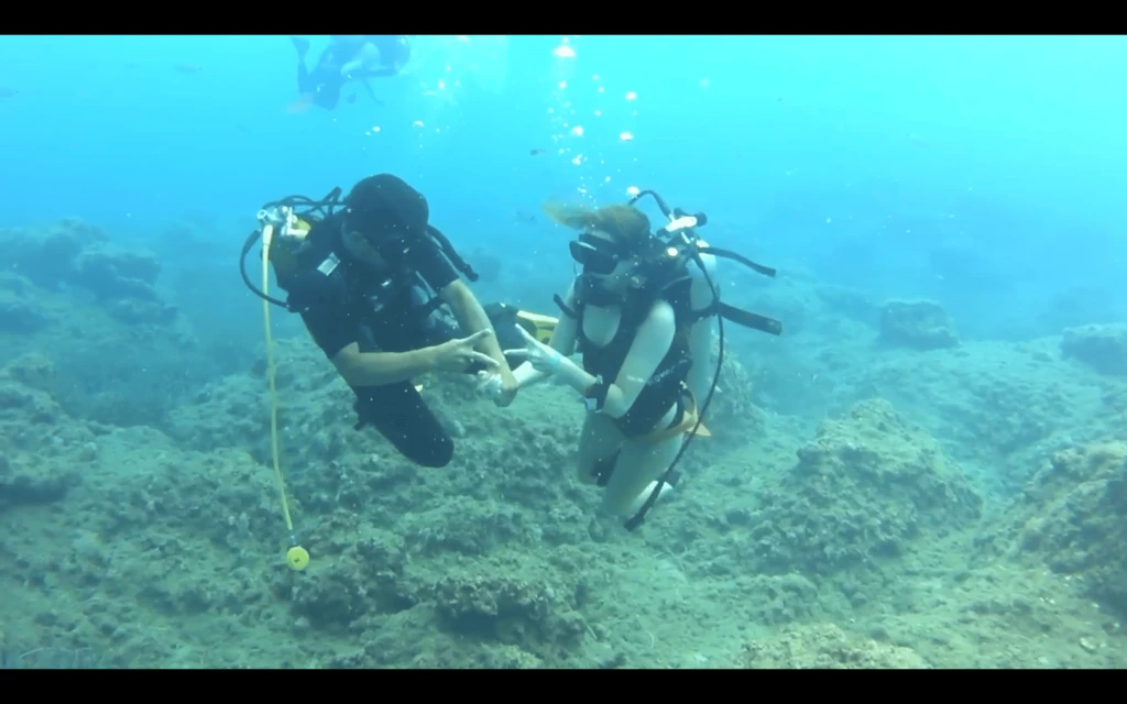 Tour de Buceo en Museo Submarino