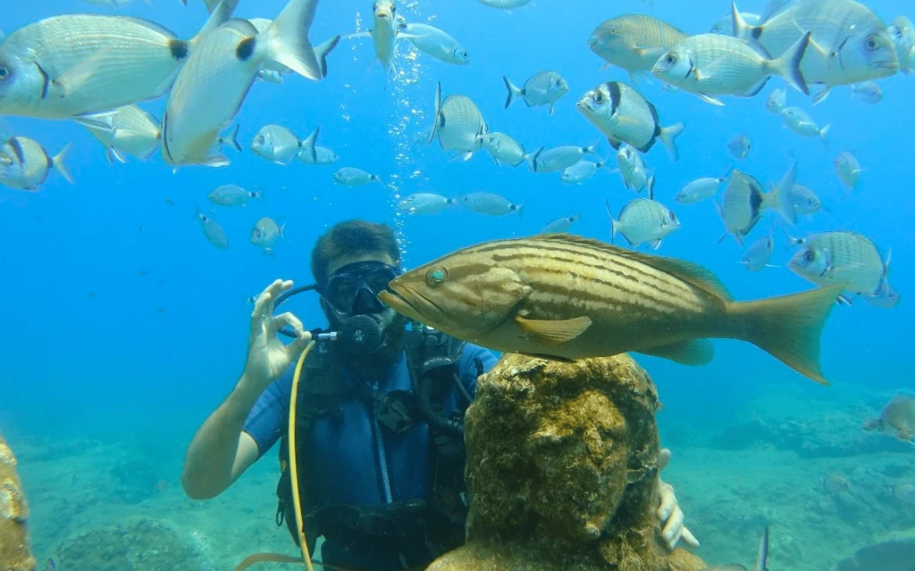 Tour de Buceo en Museo Submarino