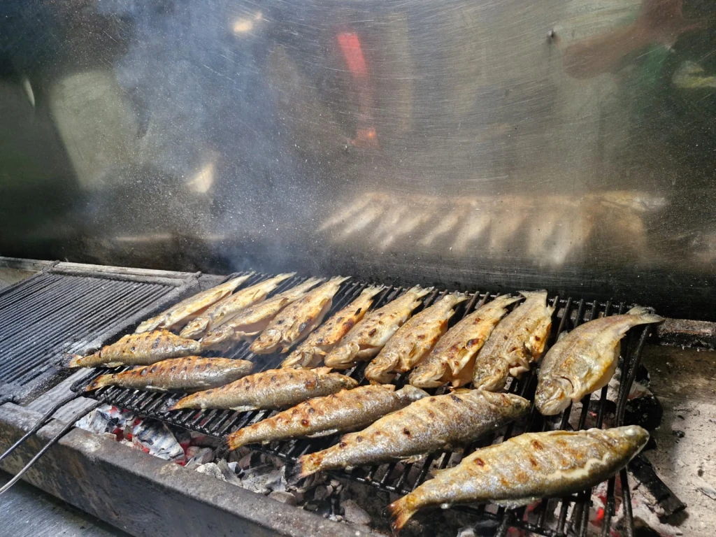 Safari in Jeep e Tour in Barca al Green Canyon