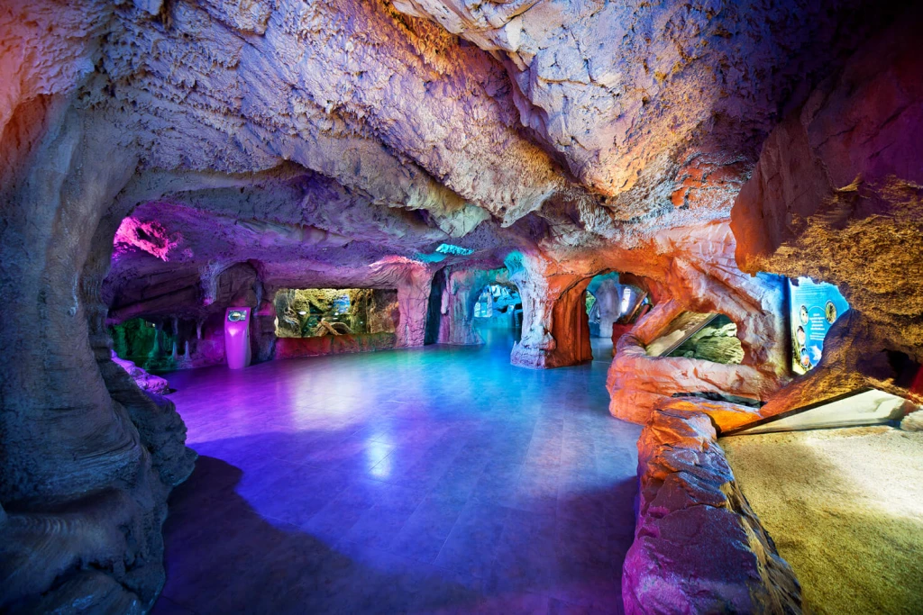 Aquarium Istanbul Tour