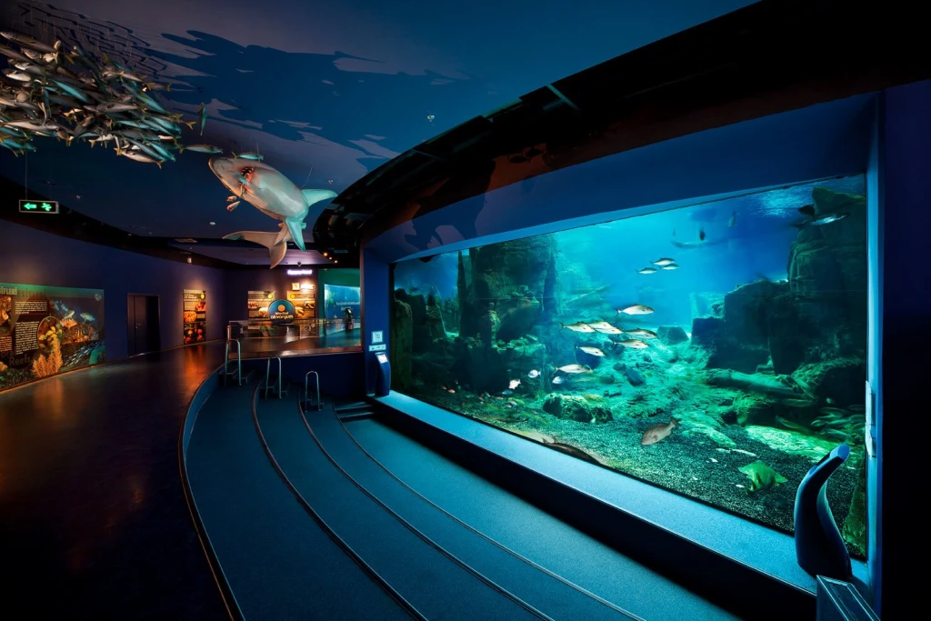 Aquarium Istanbul Tour