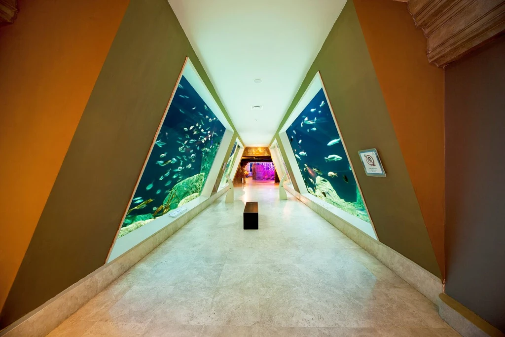 Aquarium Istanbul Tour
