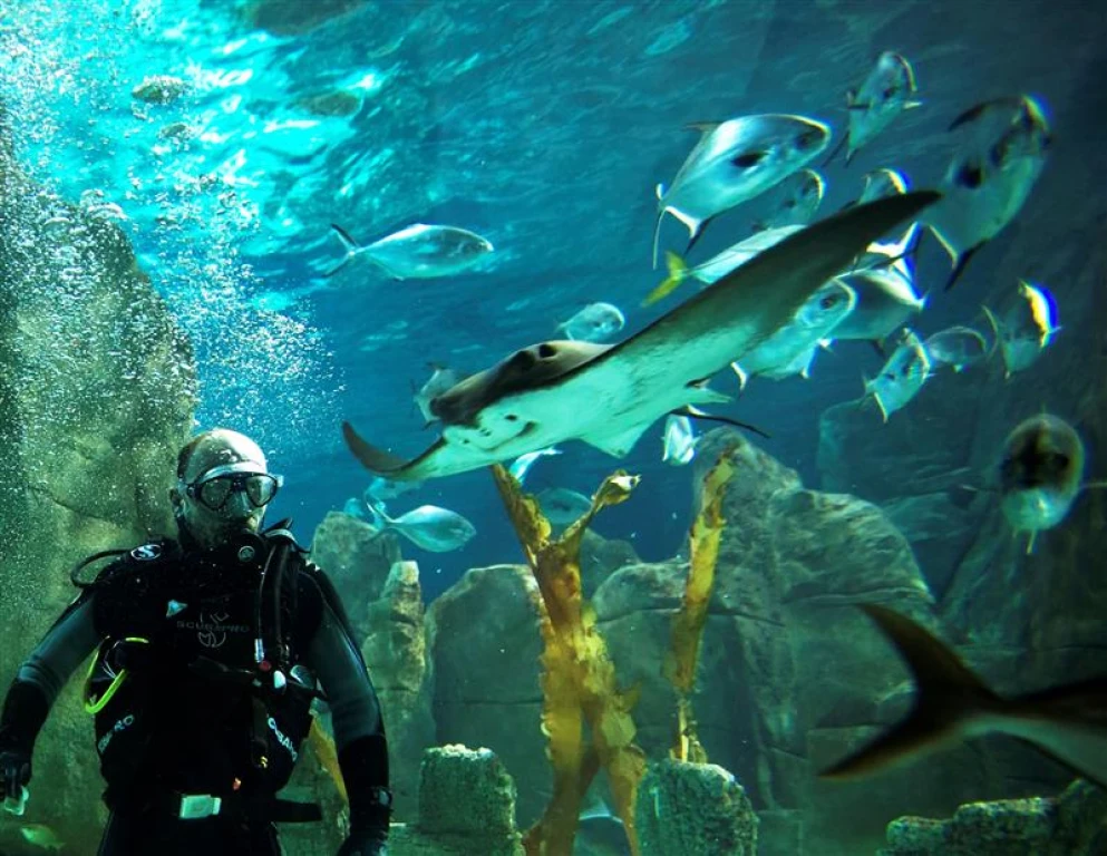 Aquarium Istanbul Tour