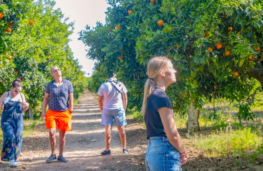Side: Inland Life & Mix Tour with Local Lunch