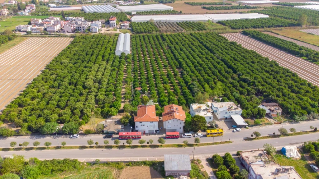 Side: Inland Life & Mix Tour with Local Lunch