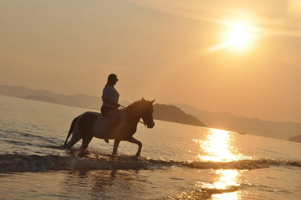 Fethiye Denizde At Turu