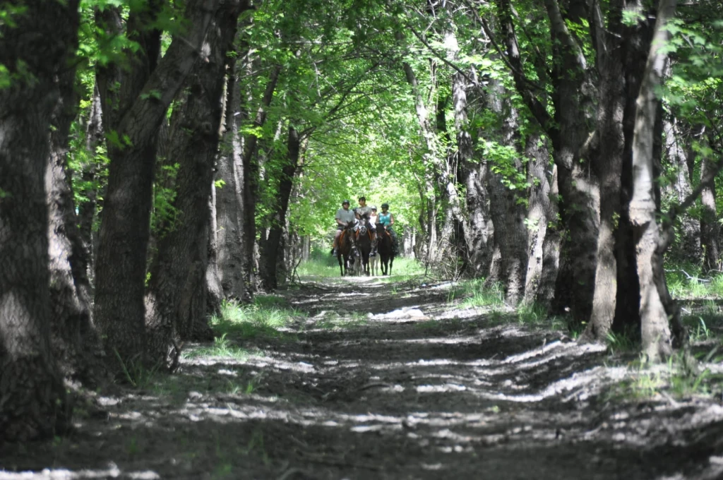 Fethiye Denizde At Turu