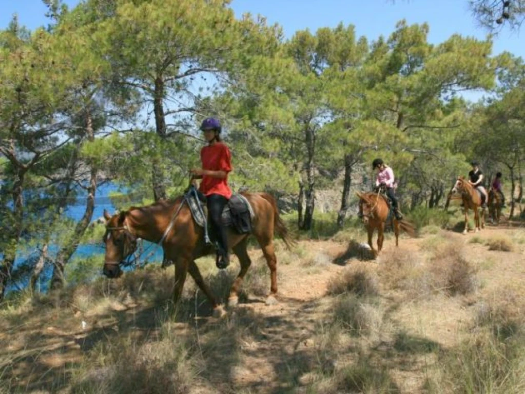 Fethiye At Turu