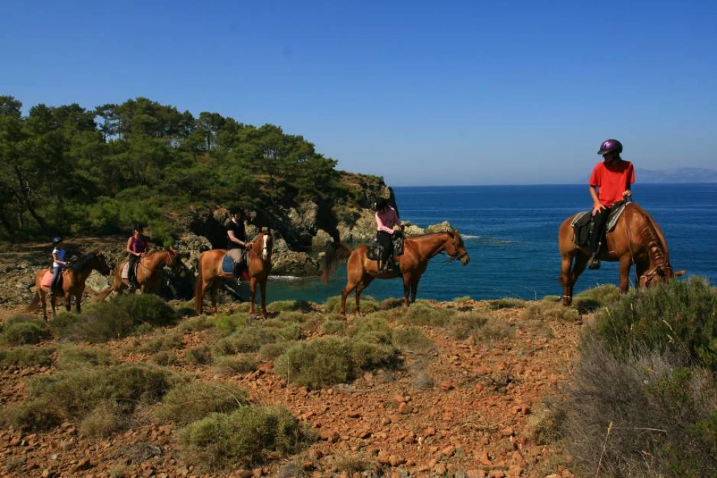 Fethiye At Turu