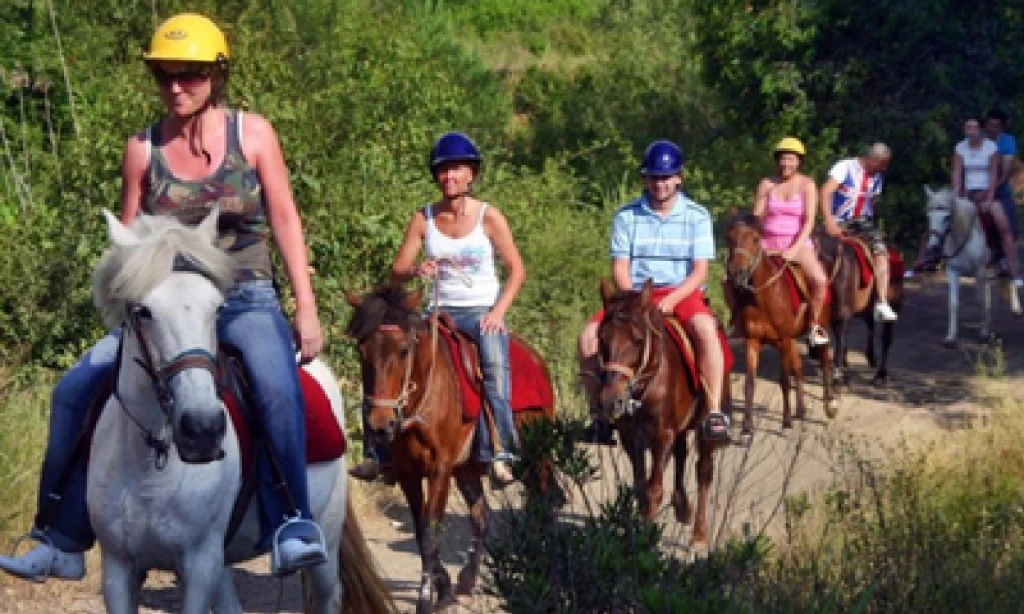 Fethiye At Turu