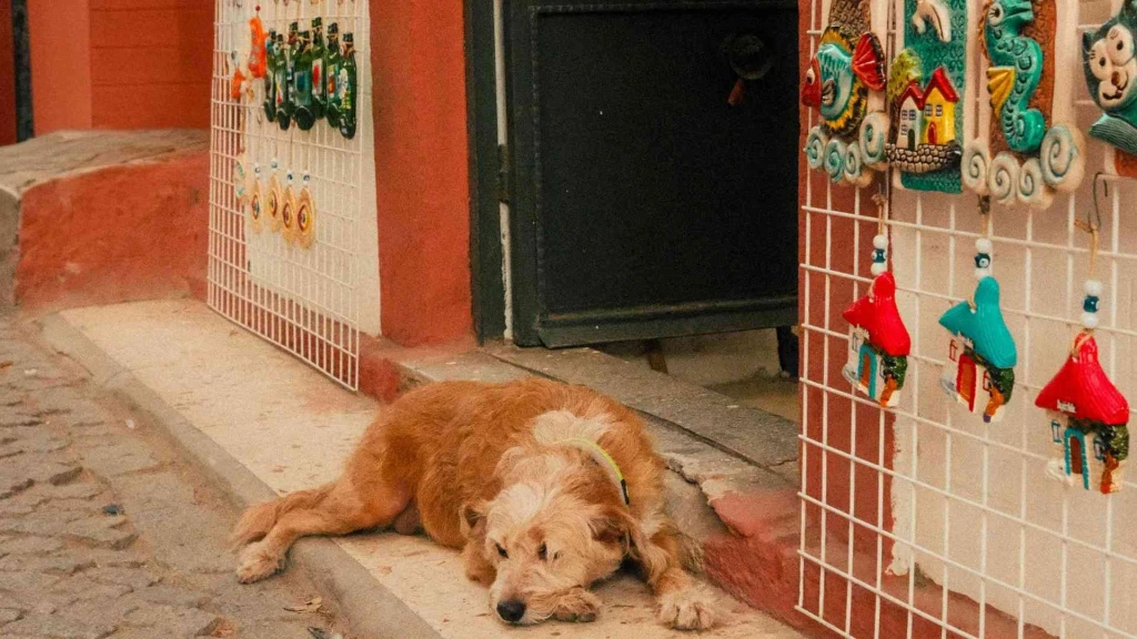 Kurban Bayramı Özel Butik Ege Turu 2 Gece Otel Konaklamalı