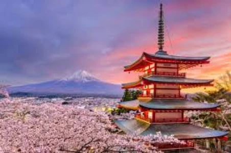 Platinum Doğu Asya’nın Güneşi “Japonya” THY ile 6 gece (KIX-NRT) Osaka (3) - Nara - Kyoto - Tokyo (3...