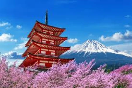 Platinum Doğu Asya’nın Güneşi “Japonya” THY ile 5 gece (NRT-KIX) Tokyo (2) – Hakone – Osaka (3) – Ky...