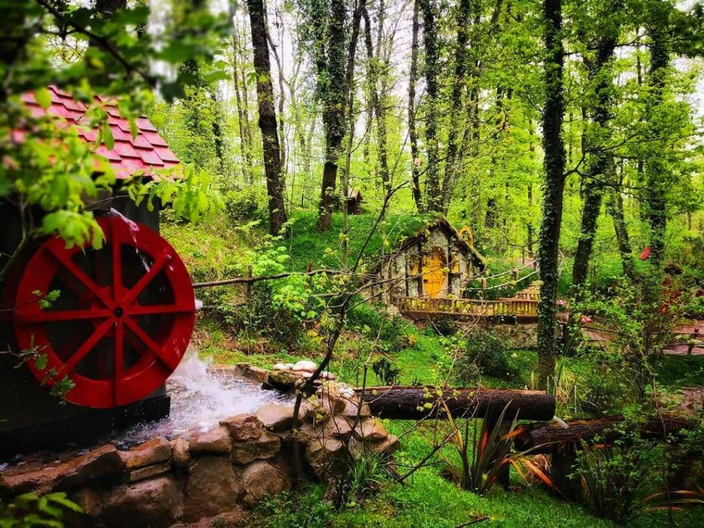 Sapanca Maşukiye Ormanya Turu -  Günübirlik Bolu Çıkışlı