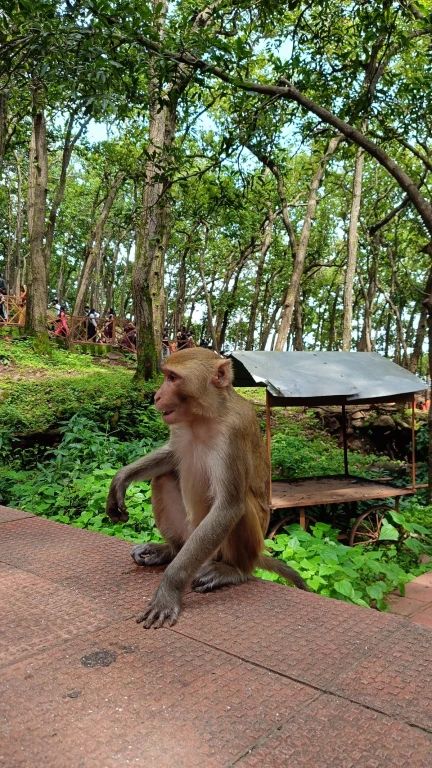 Green Canyon Boat Tour from Manavgat/Side: 5-in-1 Nature & Zoo Tour