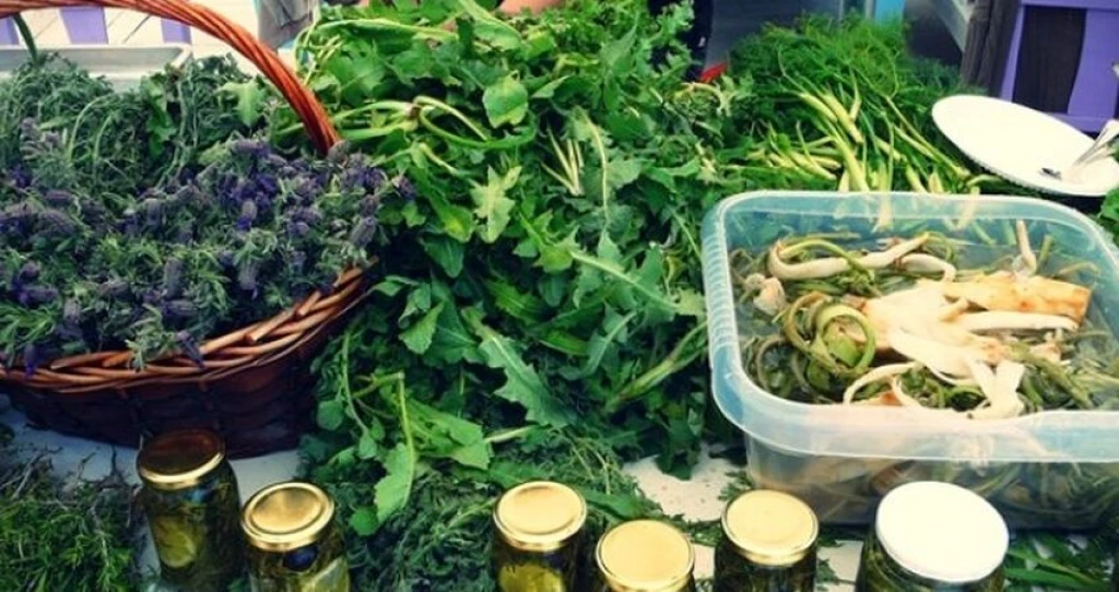 ΦΕΣΤΙΒΑΛ ΜΑΡΑΘΩΝΙΟΥ ΑΛΑΤΣΑΤΙ ΤΟΥΡ ΣΕΣΜΕ - ΟΥΡΛΑ