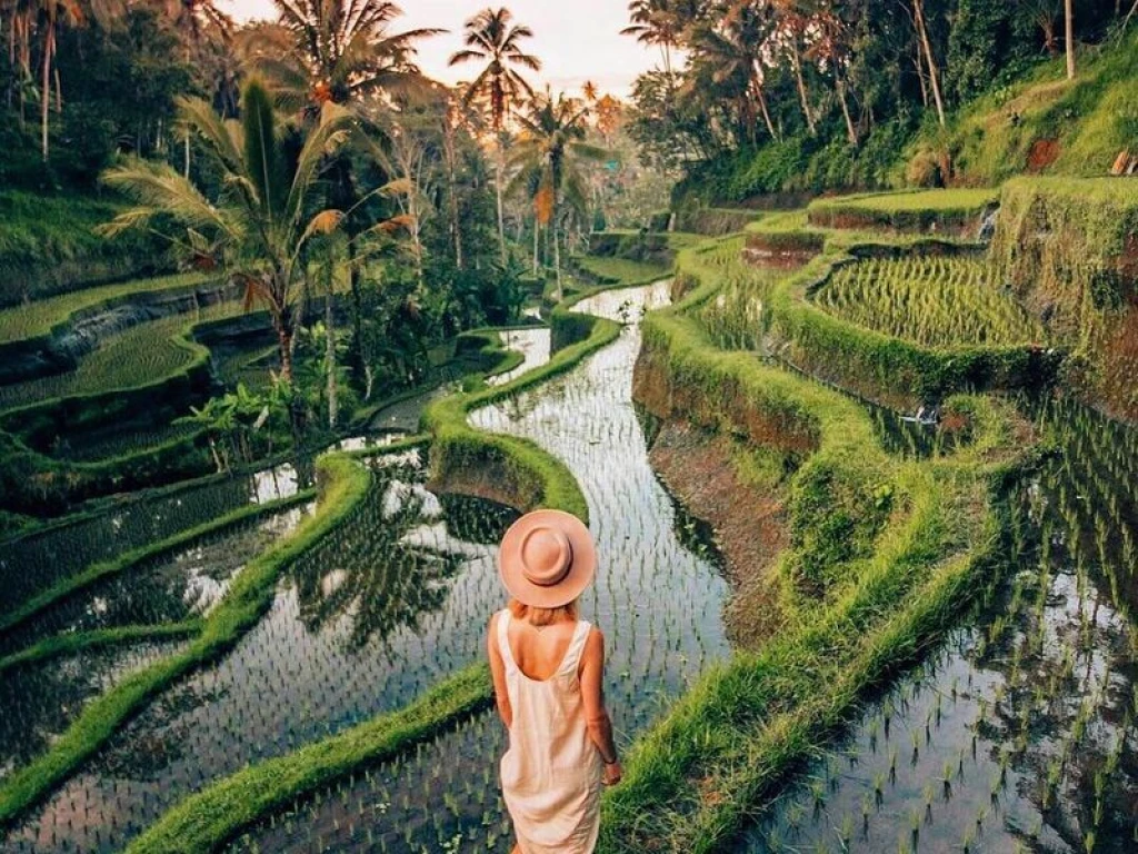 Turkish Airlines Elegant Bali Ubud Tour (5 Nights Hotel Accommodation)