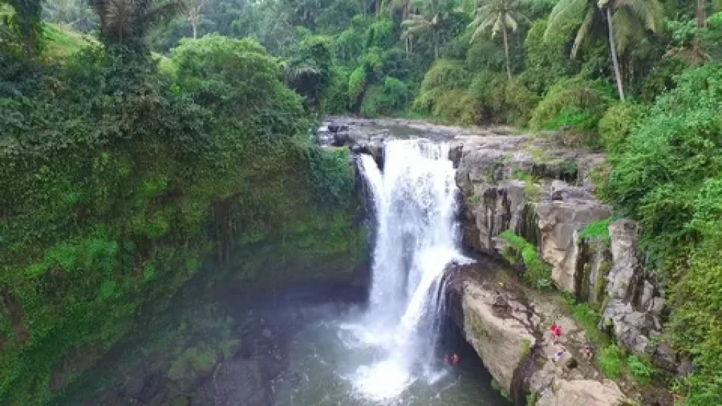 Turkish Airlines Elegant Bali Ubud Tour (5 Nights Hotel Accommodation)