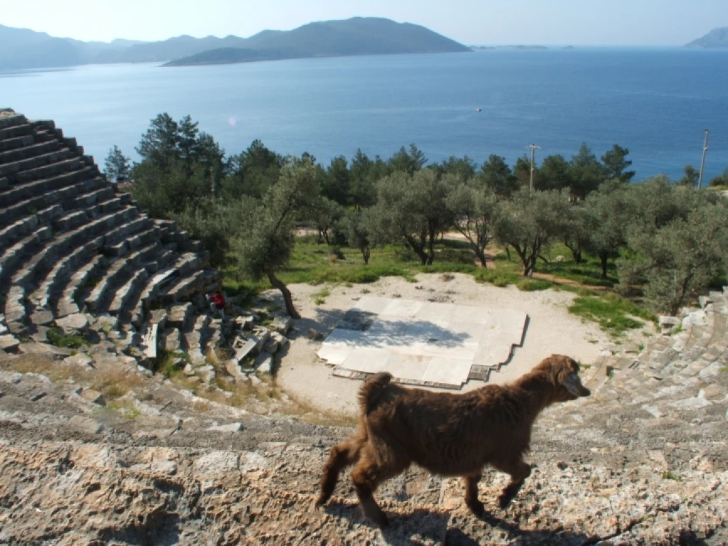 Fethiye Kekova 6 Gece 7 Gündüz Mavi Tur