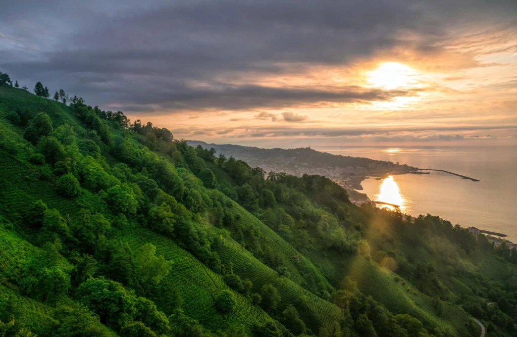 Visite des plantations de thé et de Rize depuis Istanbul en avion