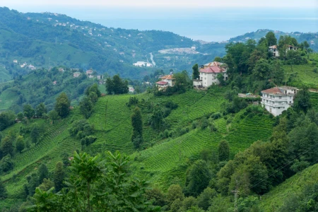 Rize & Tea Plantations Tour from Istanbul by Flight