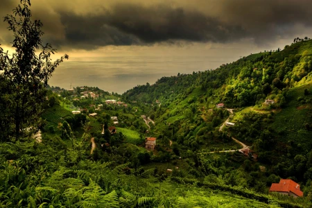 Rize & Tea Plantations Tour from Istanbul by Flight