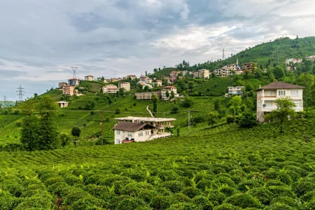 Rize & Tea Plantations Tour from Istanbul by Flight