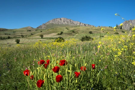 3 days 2 nights Lake Van and Eastern Anatolia from Istanbul by flight