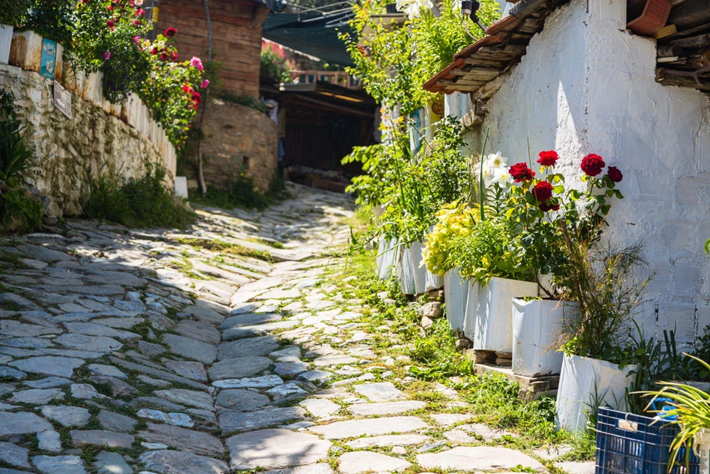 Excursion d'une journée à Sirince