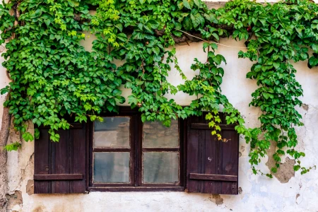 Sirince Village Tour