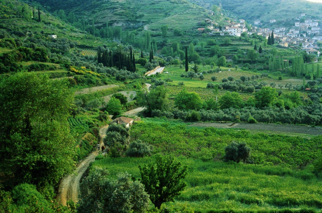 Excursion d'une journée à Sirince
