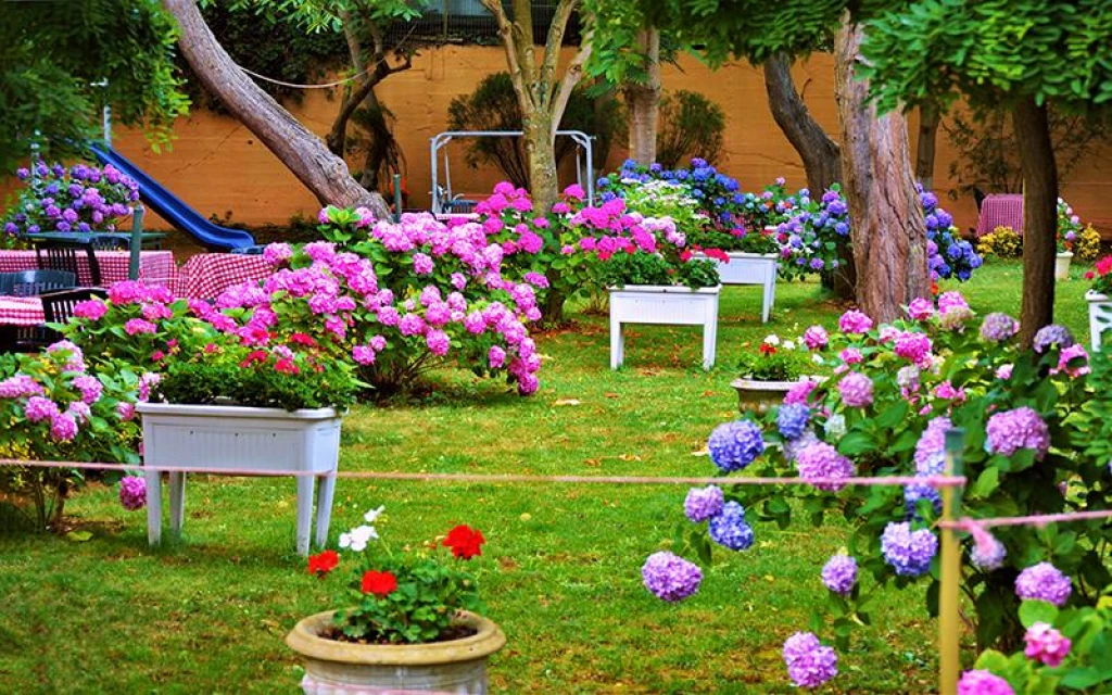 Günlük Polonezköy Köyü & Doğa Parkı Turu