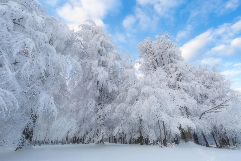 3 DAGEN ULUDAG NATUUR & SKITOCHT VANUIT IStanboel