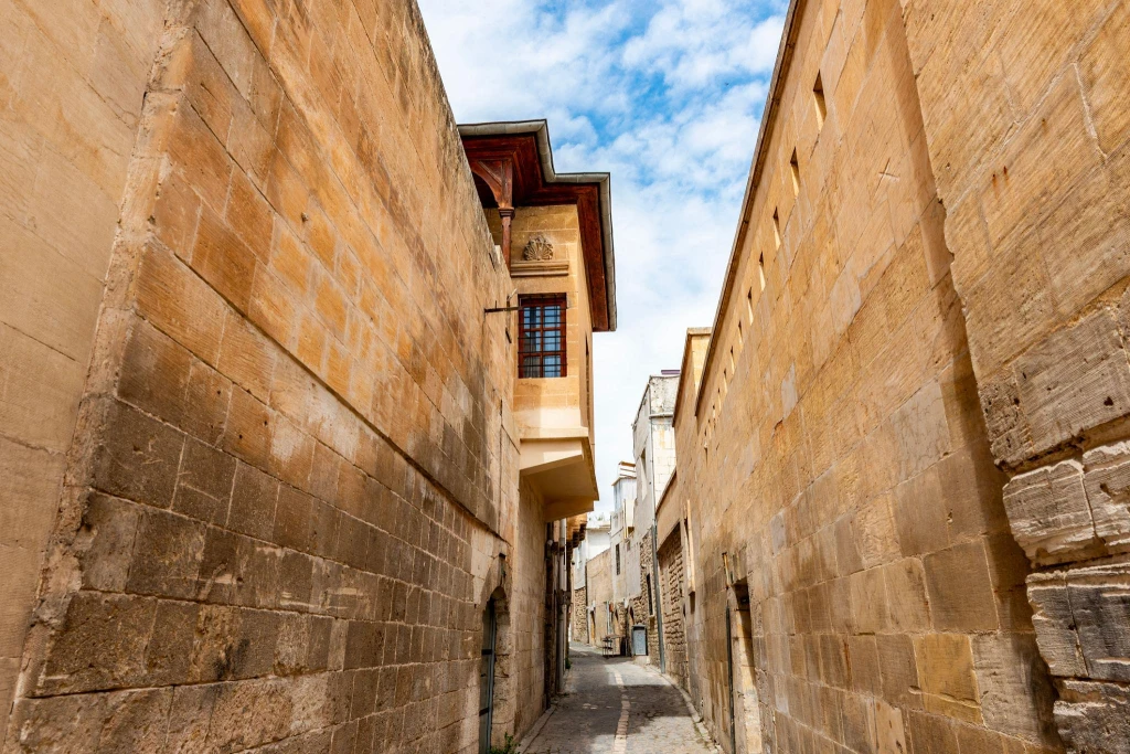 Eski Mezopotamya Turu